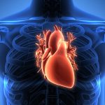 10 Kesalahan Gaya Hidup yang Sering Merusak Jantung
