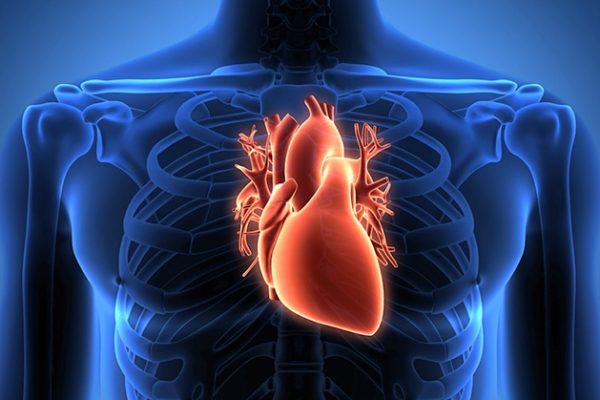 10 Kesalahan Gaya Hidup yang Sering Merusak Jantung 10 Kesalahan Gaya Hidup yang Sering Merusak Jantung